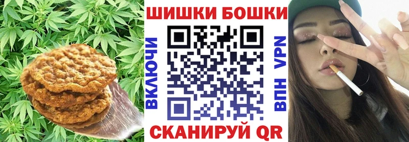 блэк спрут зеркало  Котовск  Canna-Cookies конопля 