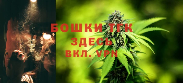 прущие грибы Богородск