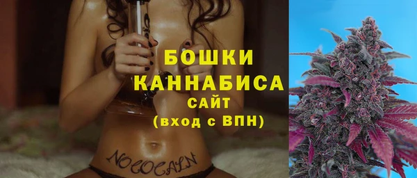 прущие грибы Богородск