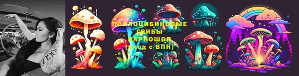 дживик Семилуки