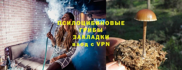 мдма Богородицк
